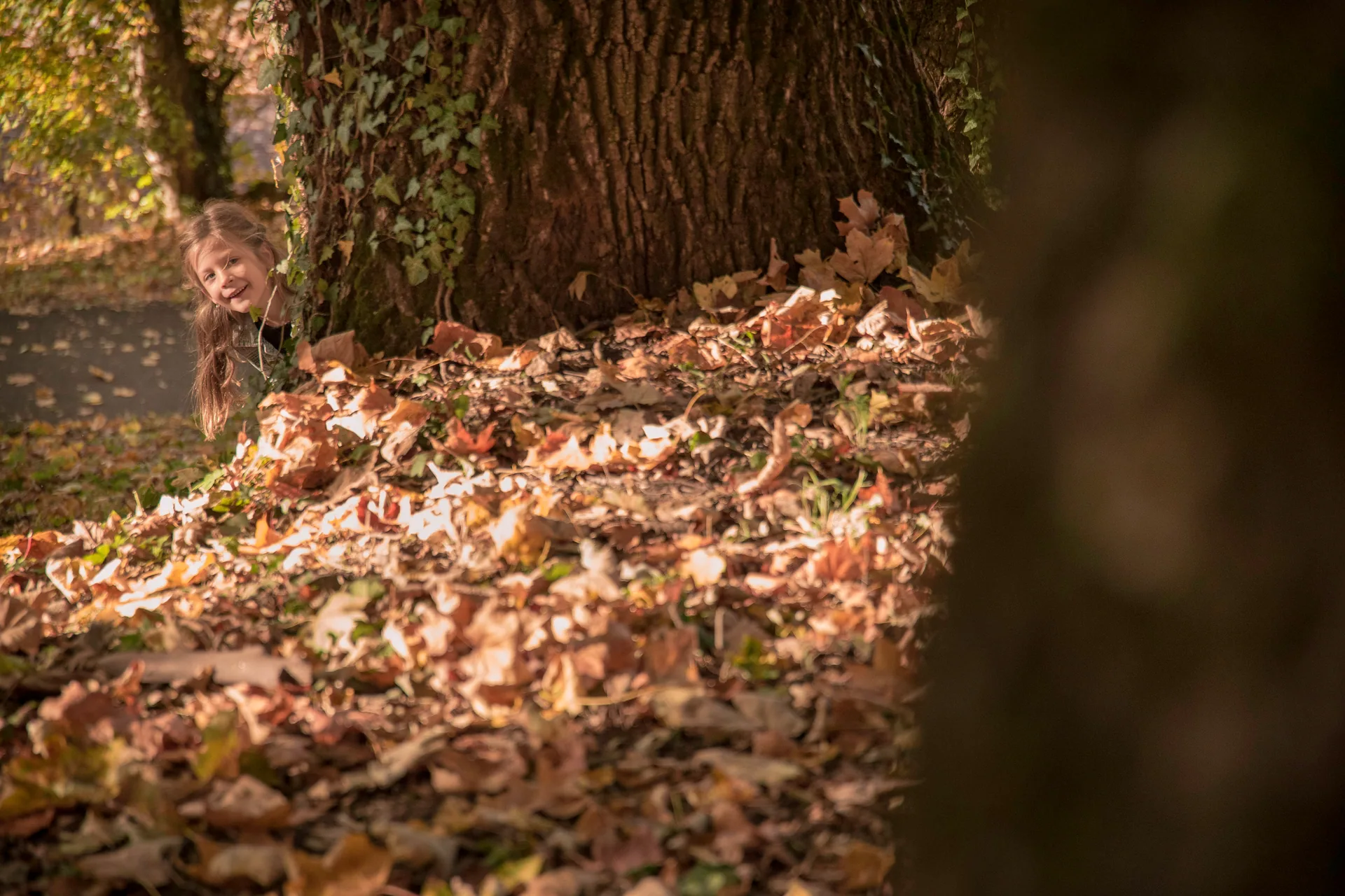 A family moment outdoors in autumnal Brașov 8